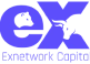 exnetworkCapital